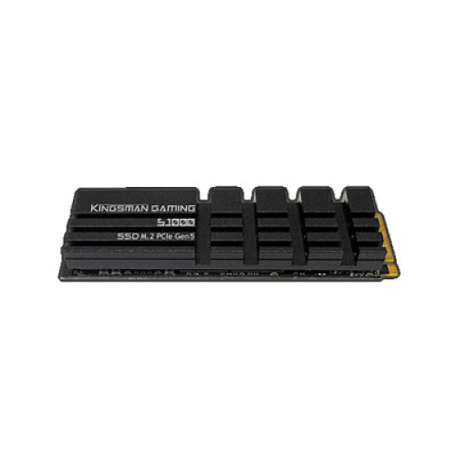 AITC Kingsman Gaming S1000 Gen5 M.2 NVMe 1TB SSD