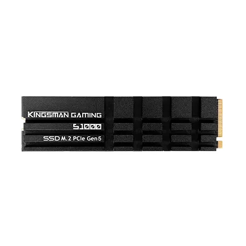AITC KINGSMAN S1000 1TB M.2 2280 PCIe Gen5x4 NVMe 2.0 SSD With DRAM & Heatshink