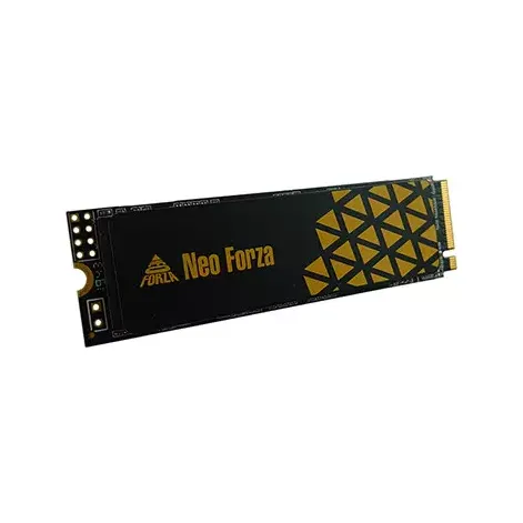 NEO FORZA NFP495PCI20 2TB M.2 2280 NVMe PCIe GEN4X4 SSD