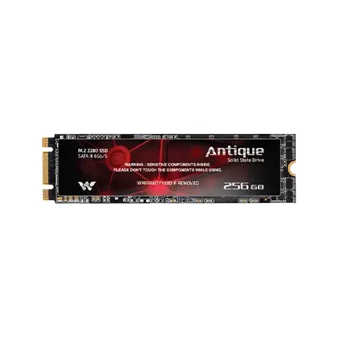 Walton ANTIQUE 256GB SATA III M.2 2280 SSD