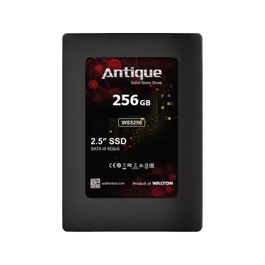 Walton WS5256 256GB 2.5” SATA III SSD